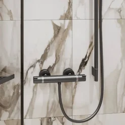 Hansgrohe Mitigeur douche thermostatique Ecostat Comfort noir chromé brossé + Nettoyant Briochin