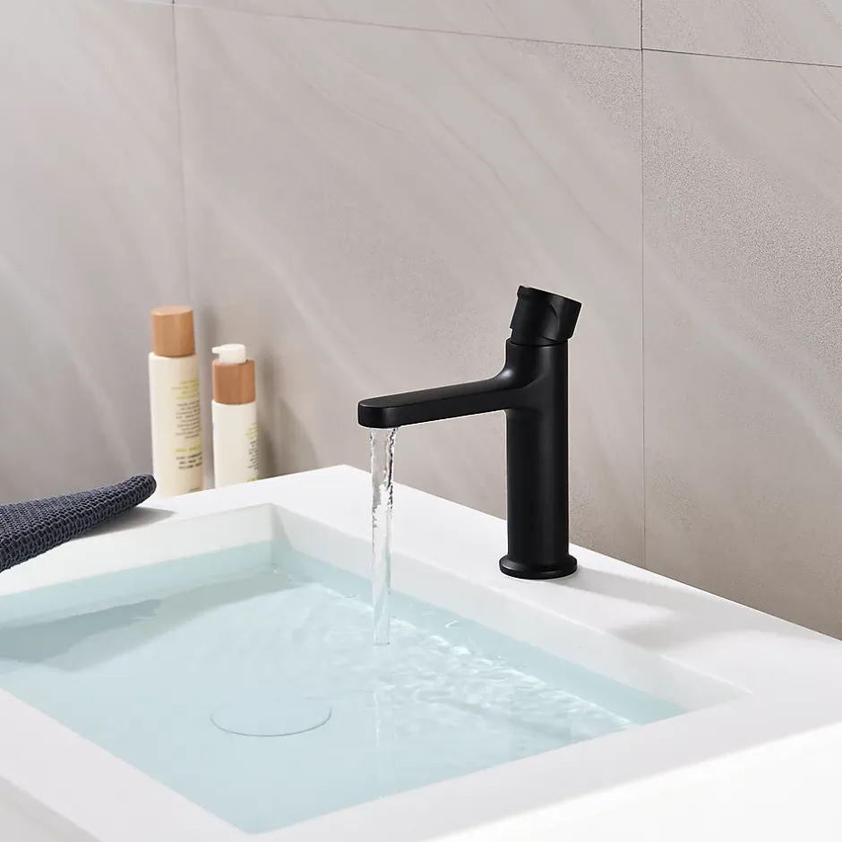 Bernstein Mitigeur pour lavabo et vasque 8211 - Noir mat