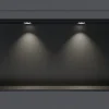 Bernstein Niche murale douche acier inox + 2 Spots LED, étagère douche encastrable - 20x60x10cm (HxLxP) - Noir, 2x Spot Chrome