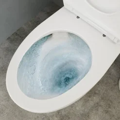 GoodHome Pack WC à poser avec cuvette, abattant et réservoir, Kentia