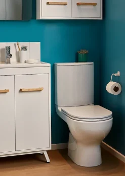 GoodHome Pack WC à poser sans bride avec sortie verticale Cavally
