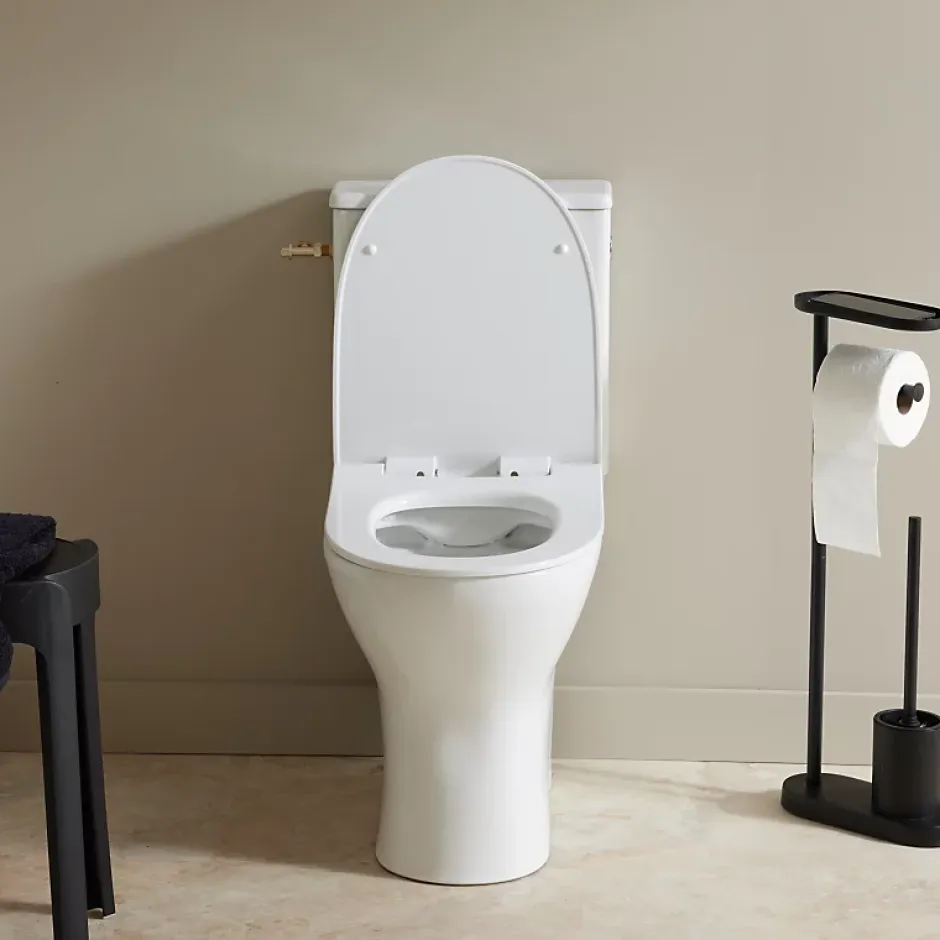 Planète Bain Pack wc à poser sortie horizontale sans bride - Angel