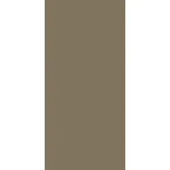Schulte Panneau mural de salle de bains l.90 x H.210 cm, taupe, Décodesign couleur vendu par 2