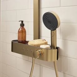 Hansgrohe Pommeau de douche Pulsify Select S 105 EcoSmart 3jets bronze brossé* Pommeau De Douche, Flexible Et Barre De Douche