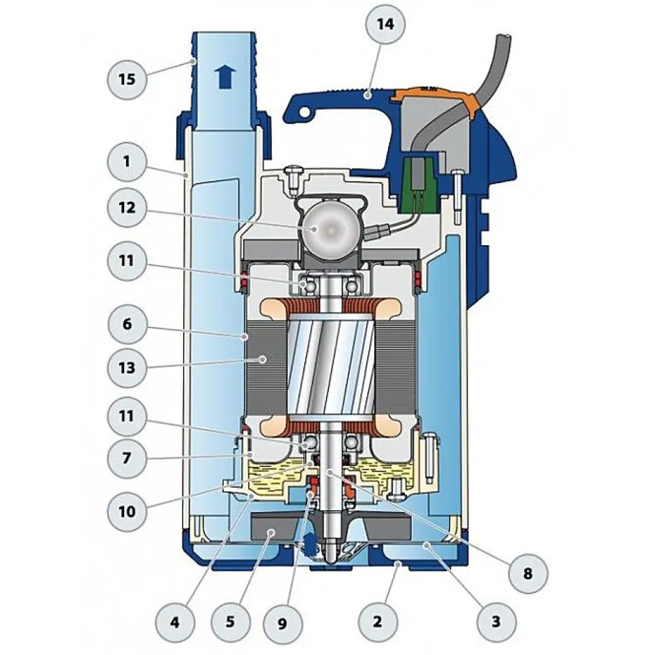 Pedrollo Pompe de relevage TOP2FLOOR 0,37 kW jusqu'à 9,6 m3/h monophasé 220V