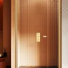 Otitec Porte de Douche Encastrée Pivotante - 160 x 195 - OR BROSSÉ - NEW SOLEO