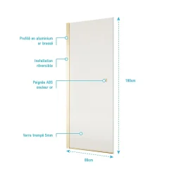 Aurlane Porte de Douche Pivotante 80x180 cm en Verre Trempe 5 mm - Finition Or Brosse - GOLD ELEMENTARY* Porte De Douche