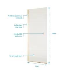 Aurlane Porte de Douche Pivotante 70x180 cm en Verre Trempe 5 mm - Finition Or Brosse - GOLD ELEMENTARY