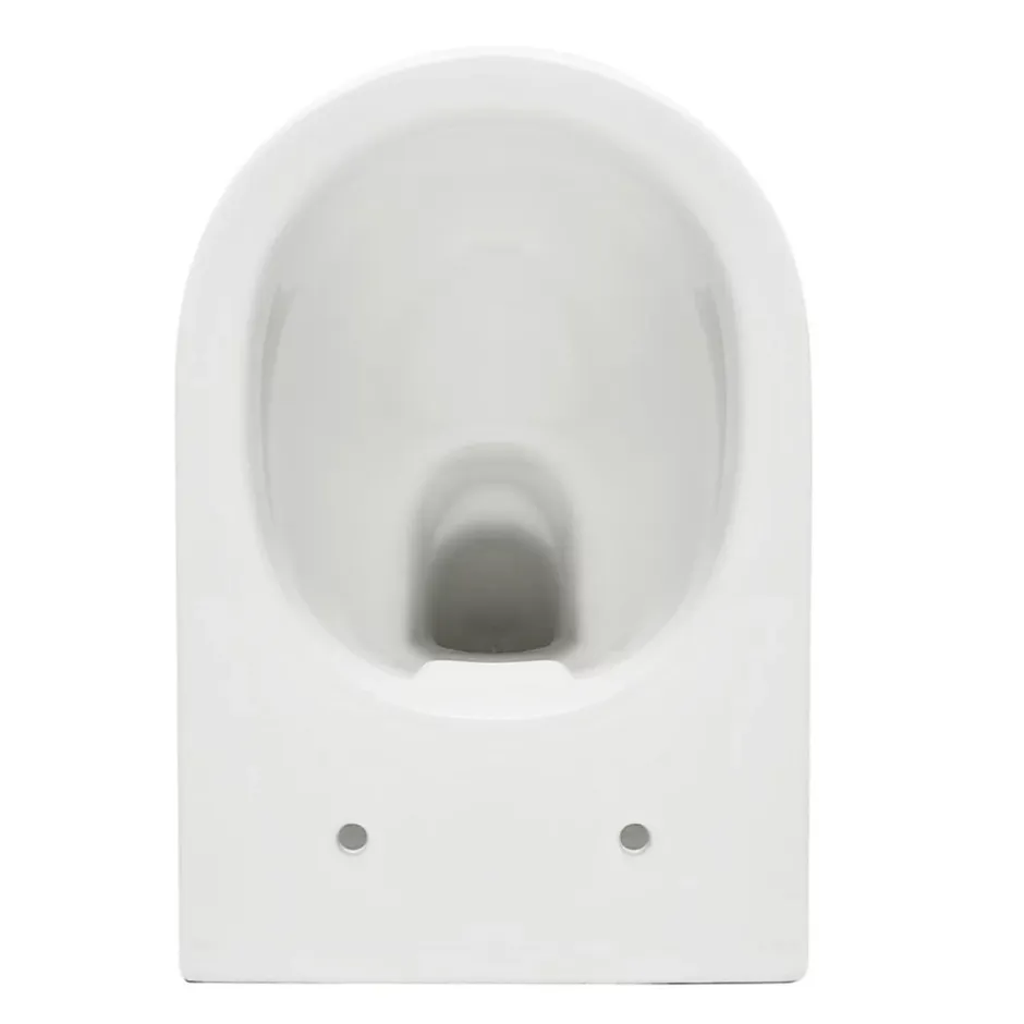 Swiss Aqua Technologies Project WC suspendu sans bride avec abatant softclose, blanc (SATWCPRO010RREXP)