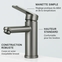 Dileci Robinet compact pour salle de bain couleur gris métallisé -