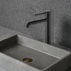 Bellegno Robinet mitigeur de lavabo thermostatique GRAZIOSA noir mat