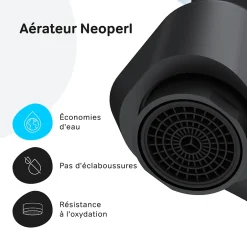 Am.Pm Europe Robinet Salle de Bain Mitigeur lavabo avec bonde clic clac, Noir, taille S, FTA82122 AM.PM