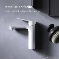 Am.Pm Europe Robinet Salle de Bain Mitigeur lavabo, Blanc, taille S, FTA02133 AM.PM
