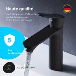 Am.Pm Europe Robinet Salle de Bain Mitigeur lavabo, Noir, taille M, FTA02122 AM.PM* Robinet Lavabo Et Vasque