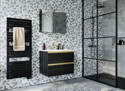 Sauter Sèche-serviettes électrique à inertie fluide Asama connectable anthracite 750W