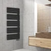 Deltacalor Sèche-serviettes électrique asymétrique 750W noir 7.5m²* Sèche-Serviettes Électrique