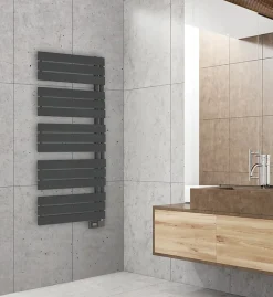 Deltacalor Sèche-serviettes électrique asymétrique 750W anthracite 7.5m²* Sèche-Serviettes Électrique