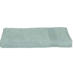 Eden Serviette de toilette invite 30 x 50 cm Couleur moderne givre