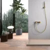 Imex Products Set douche monocommande or brosse en laiton avec flexible PVC 180 cm