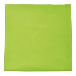 Sols - Serviette ATOLL Vert pomme (Taille unique)* Gant De Toilette