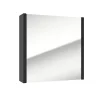 Swiss Aqua Technologies Armoire à miroir SAT Delano 60x60 cm stratifié noir (DELANOG60C)