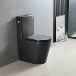 Swiss Aqua Technologies Brevis WC à poser sans bride + abattant softclose, noir mat (SATBRE031RREXVPBKM)
