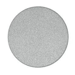 Swiss Aqua Technologies Pierre de ponçage de rechange pour douchette pédicure, grain fin (SATWTSSF80)* Pommeau De Douche, Flexible Et Barre De Douche