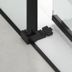 Swiss Aqua Technologies TEX BB Porte de douche 100x195cm coulissante anticalcaire avec profilés noir mat (TEXDBB100CT-SET)
