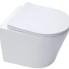 Swiss Aqua Technologies WC suspendu Infinitio sans bride et fixations invisibles + abattant frein de chute (SATINF010RREXP)