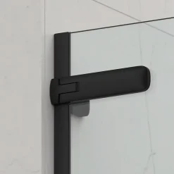 Swiss Aqua Technologies TGD NEW Porte de douche 100x200cm pivotante anticalcaire avec profilé noir mat (SATTGDO100NIKAC)