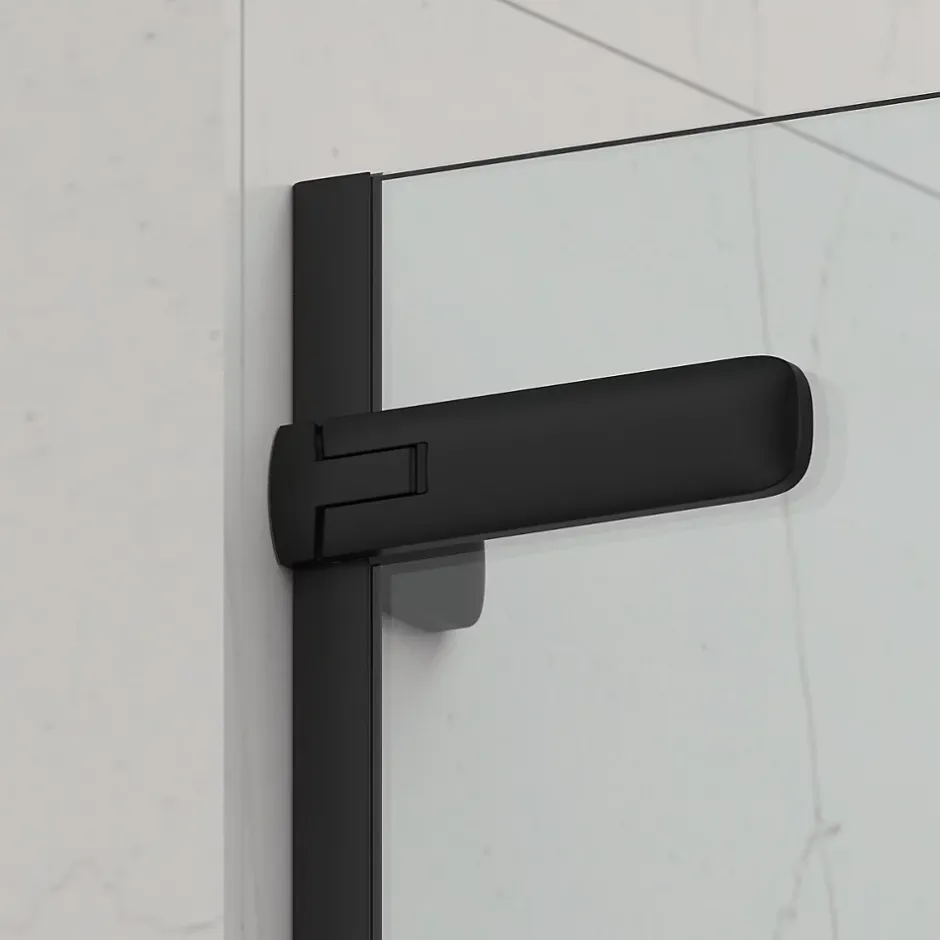 Swiss Aqua Technologies TGD NEW Porte de douche 100x200cm pivotante anticalcaire avec profilé noir mat (SATTGDO100NIKAC)