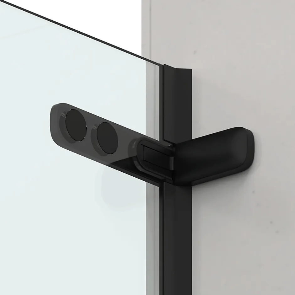 Swiss Aqua Technologies TGD NEW Porte de douche 100x200cm pivotante anticalcaire avec profilé noir mat (SATTGDO100NIKAC)