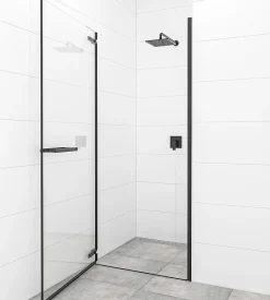 Swiss Aqua Technologies TGD NEW Porte de douche 100x200cm pivotante anticalcaire avec profilé noir mat (SATTGDO100NIKAC)