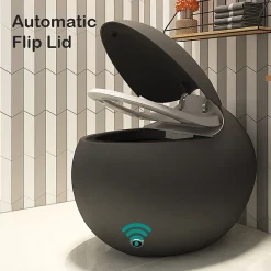 Japan Wc Toilette japonaise moderne Kirei noir