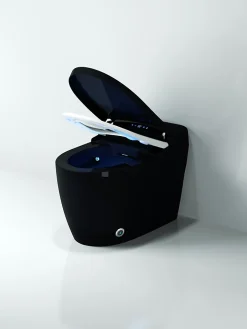 Japan Wc Toilette japonaise moderne Ninja* Wc Japonais