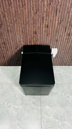 Japan Wc Toilette japonaise moderne Shinobi