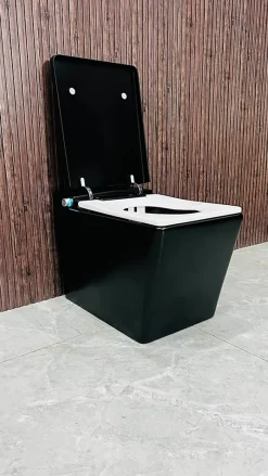 Japan Wc Toilette japonaise moderne Shinobi