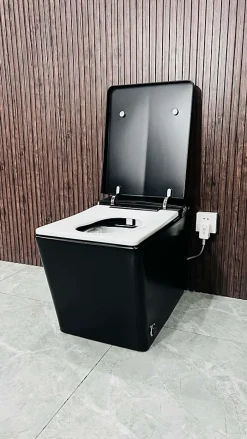 Japan Wc Toilette japonaise moderne Shinobi