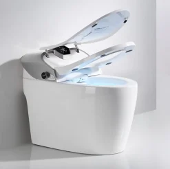 Japan Wc Toilette japonaise moderne Samourai* Wc Japonais