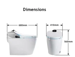 Japan Wc Toilette japonaise moderne Samourai* Wc Japonais