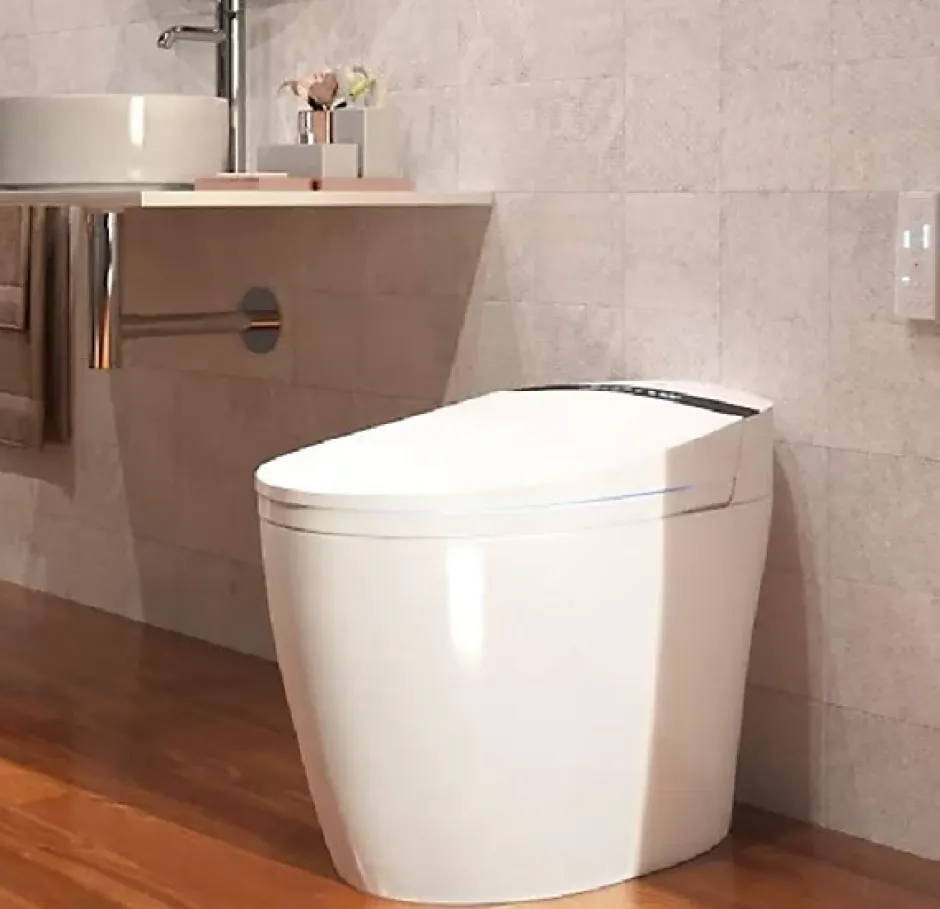 Nashi Toilette japonaise ALDARA NEW SORTIE DUALE, WC lavant automatique, injecteur acier inoxydable, canule séchage, gamme premium* Wc Japonais