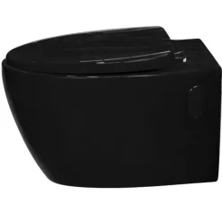 Autres Toilette suspendu de couleur noir Cuvette WC en céramique* Wc Suspendu
