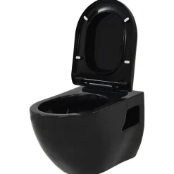 Vidaxl Toilette suspendue au mur avec réservoir caché Céramique Noir