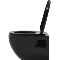 Vidaxl Toilette suspendue au mur avec réservoir caché Céramique Noir