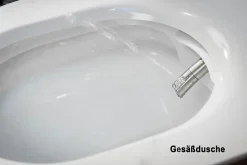 Bernstein Toilettes japonais céramique, WC japonais lavant avec LED - 59,3x38,4x38cm - Basic 1102