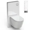 Bernstein Toilettes Japonais céramique, WC lavant + module blanc (100,4x48,3x10,8cm) + télécommande - WC 38,4x59,3x38cm - Pro+ 1102