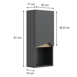 Vicco Armoire de Anthracite 30x67cm avec porte et compartiment ouvert