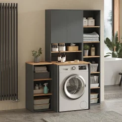 Vicco Armoire machine à laver Anthracite/chêne doré 68x100.4cm