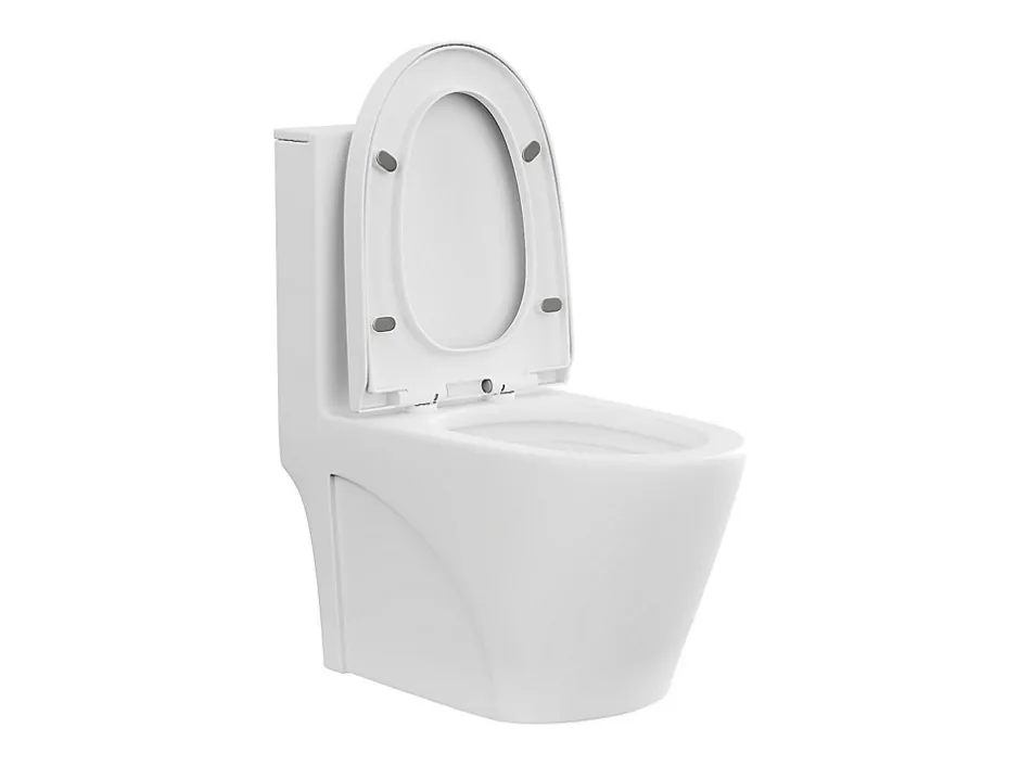 Vente-unique WC à poser blanc mat en céramique - Evacuation horizontale - NAGILAM