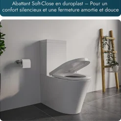 Bernstein WC à poser CT1099 - arrivée d'eau en haut - avec abattant Soft-Close